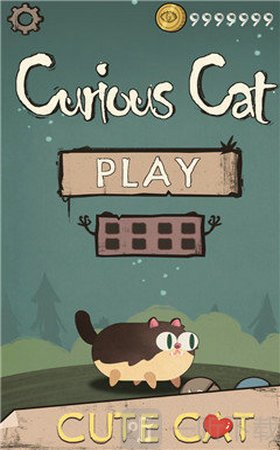 Curious Cat