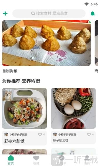 宠物食谱制作教学