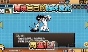 猫咪大战争