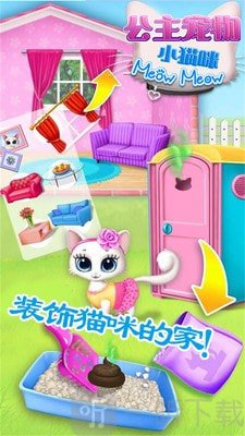 公主宠物小猫咪