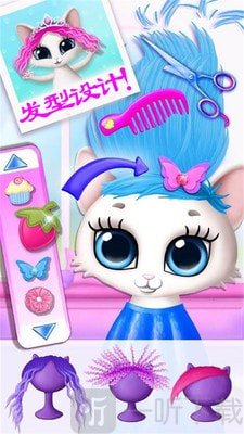 公主宠物小猫咪