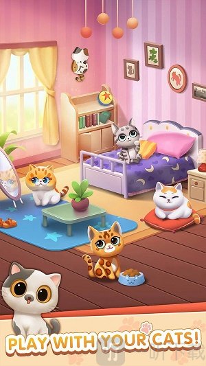 猫咪日记
