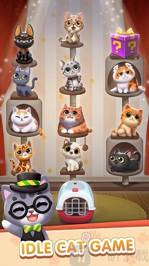 猫咪日记