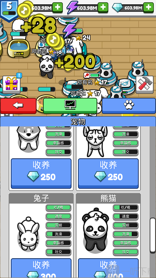宠物豢养
