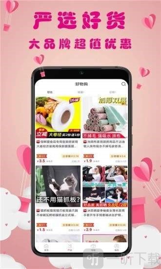 猫小券