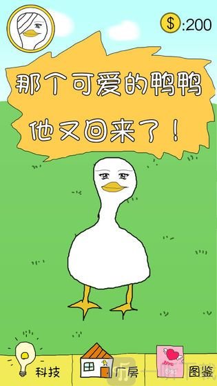 冬日里的那只鸭