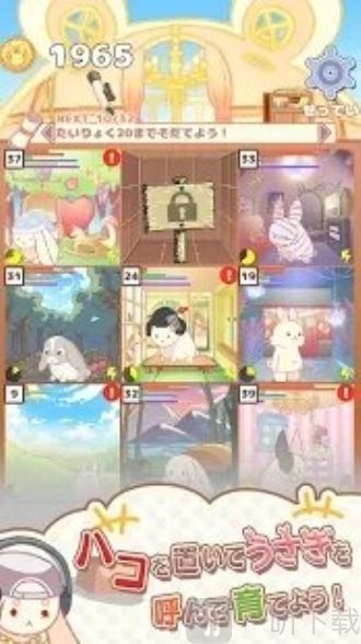 箱子的兔子