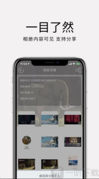 妙盒子