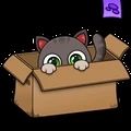 猫咪养成