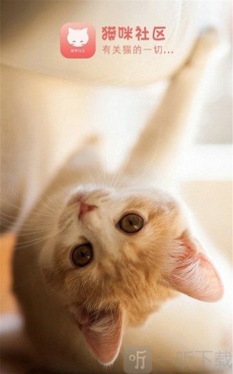 猫咪社区手机版