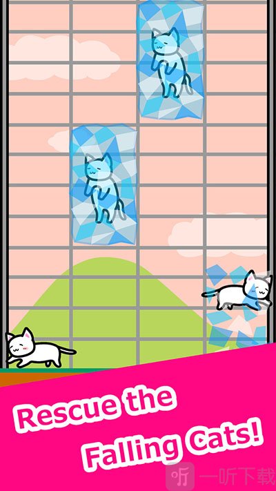 有猫生活