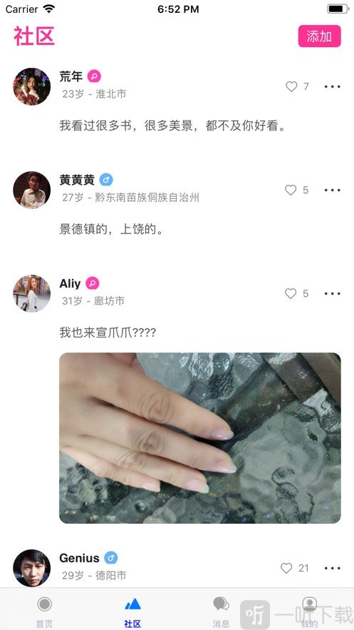 猫咪交友