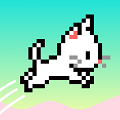 猫跳跃