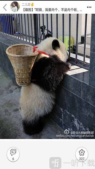 柚次元