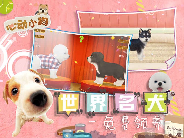 心动小狗