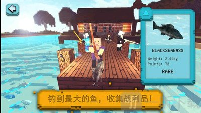 鱼网大作战
