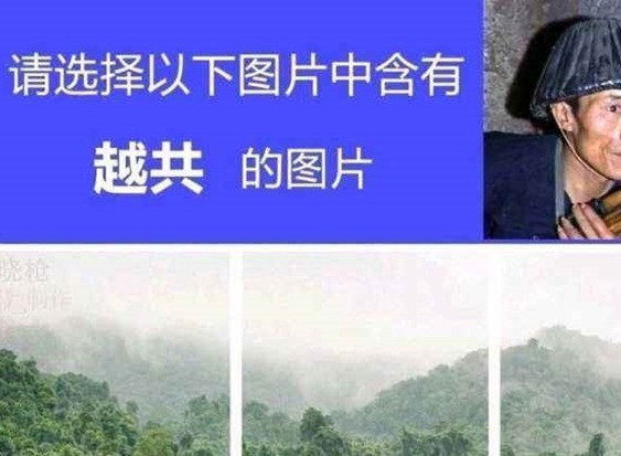 越共是什么梗 越共探头表情包是什么意思