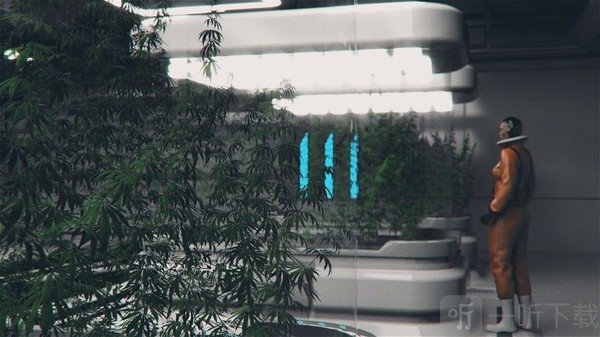 月球农场