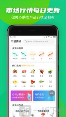 豆牛