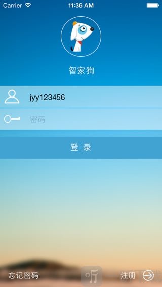 智家狗