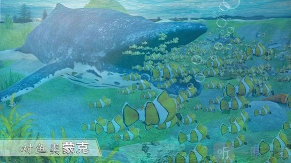 全民养鲸鱼