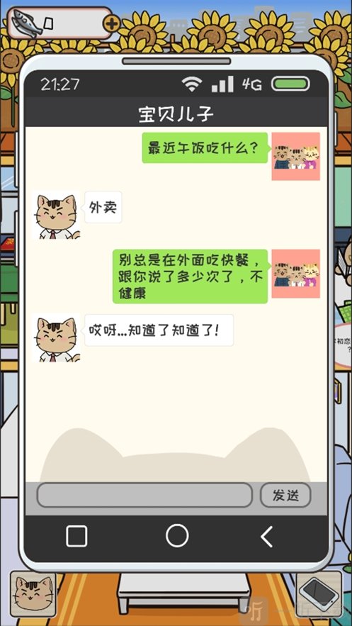 离家的猫
