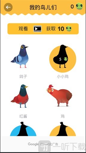 乱啄的鸽子