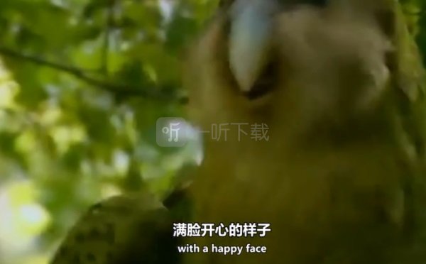 派对鹦鹉是什么梗 partyparrot魔性摇头动图gif表情包来源出处