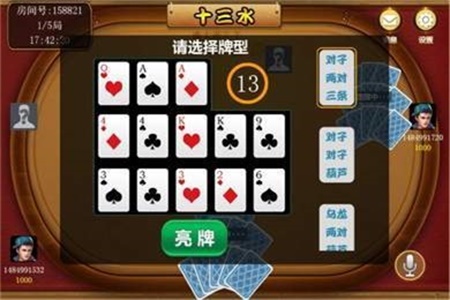 随身十三水辅助器