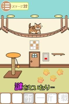 猫的房间