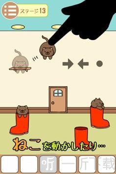猫的房间