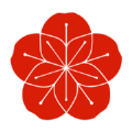 杏花播放器