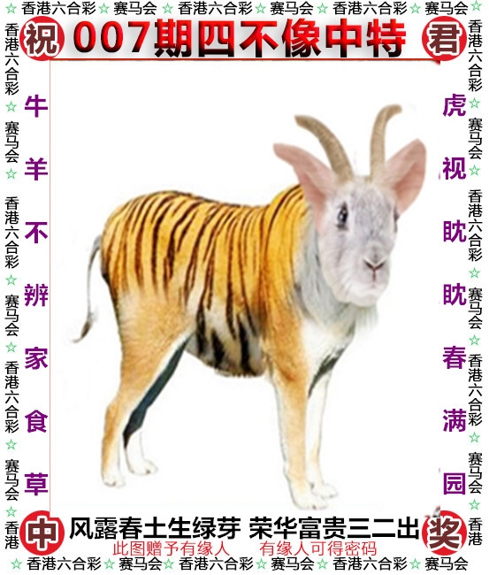 香港2020开奖结果+开奖记录四不像官方版