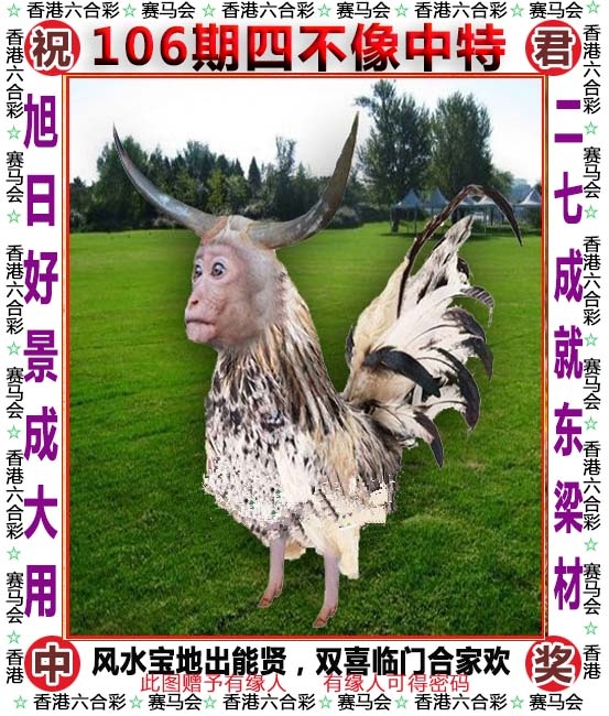 香港2020开奖结果+开奖记录四不像官方版
