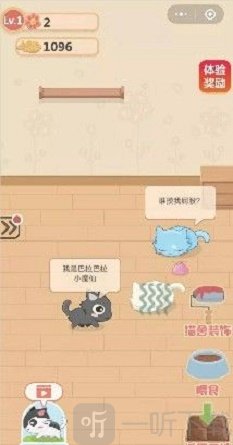 奇妙猫之家