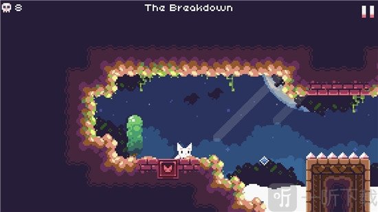 飞天萌猫