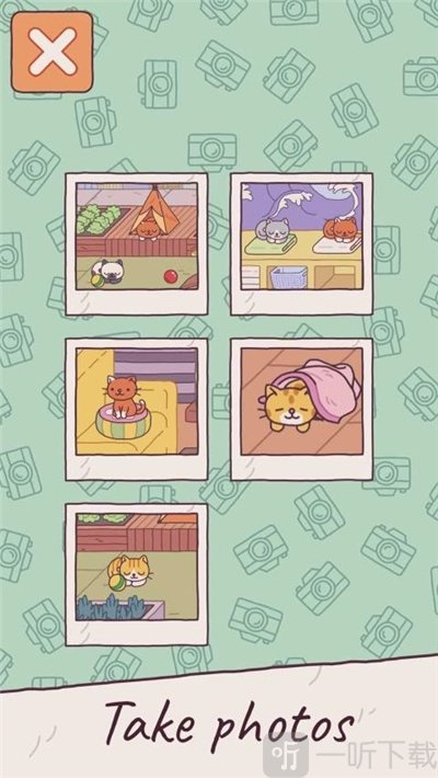 猫咪旅馆