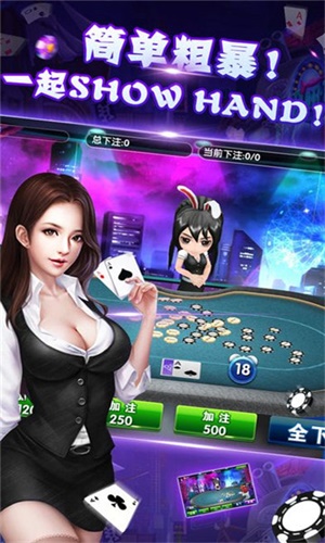 哈局十三张辅助器