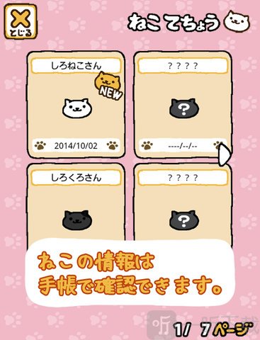 收集猫猫