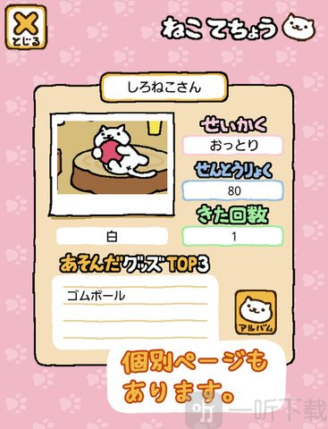 收集猫猫