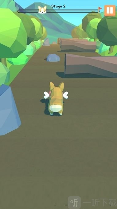 Corgi Run