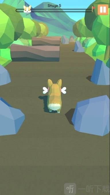 Corgi Run