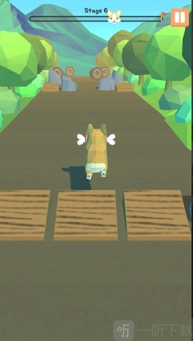 Corgi Run