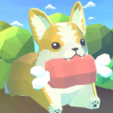 Corgi Run