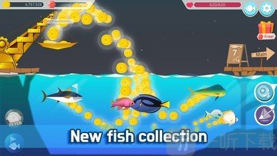 Fishing Adventure