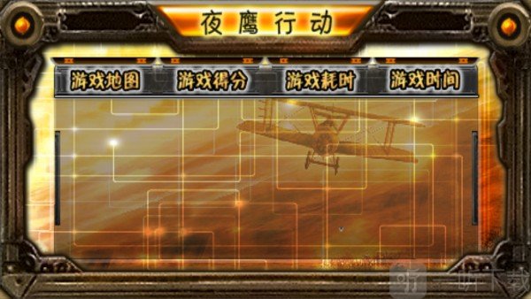 夜鹰行动
