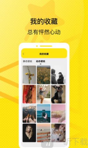 星星壁纸