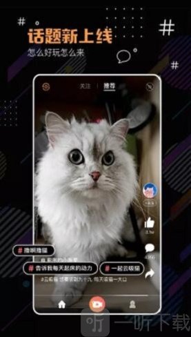 河豚小视频