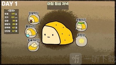 薯薯栽培