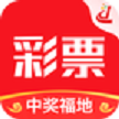 香港免费资料+王中王挂牌图